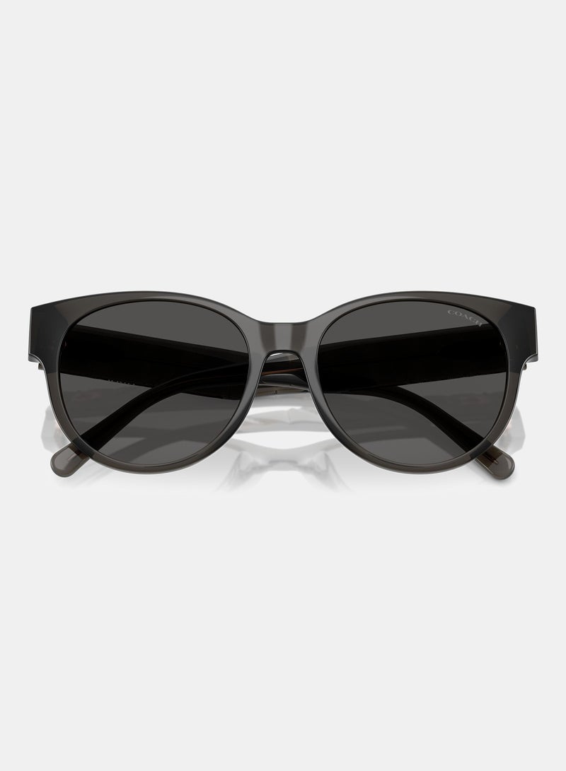 كوتش نظارة شمسية دائرية كاملة الحواف 8430D 589787 - Image 4